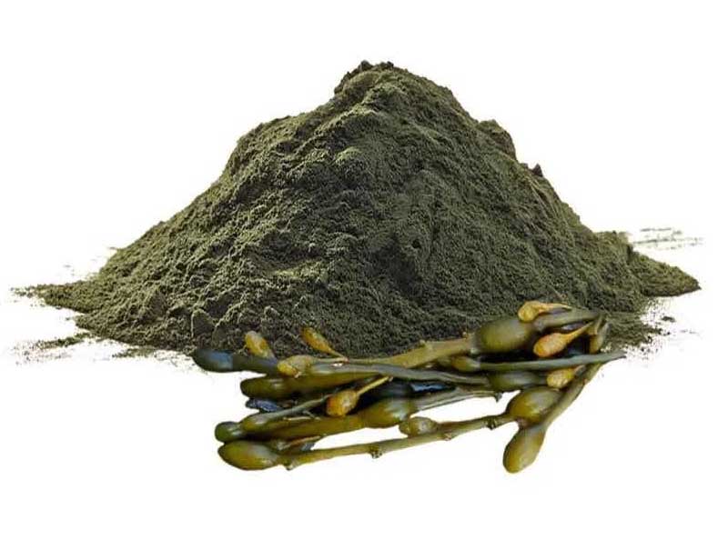 Guam Seaweed products